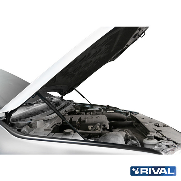 Motorhauben-Dämpfer Ford Ranger 2011-2015; 2015-2022;  Mazda BT-50 2011-2015; 2015-2020; 